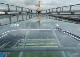Spurs Golden Cockerel